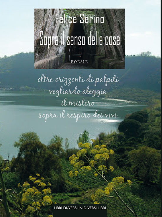 copertina Felice Serino