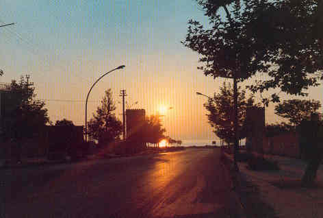 Viale lido